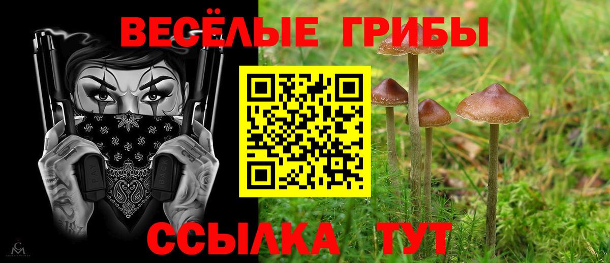 Псилоцибиновые грибы мицелий Миасс