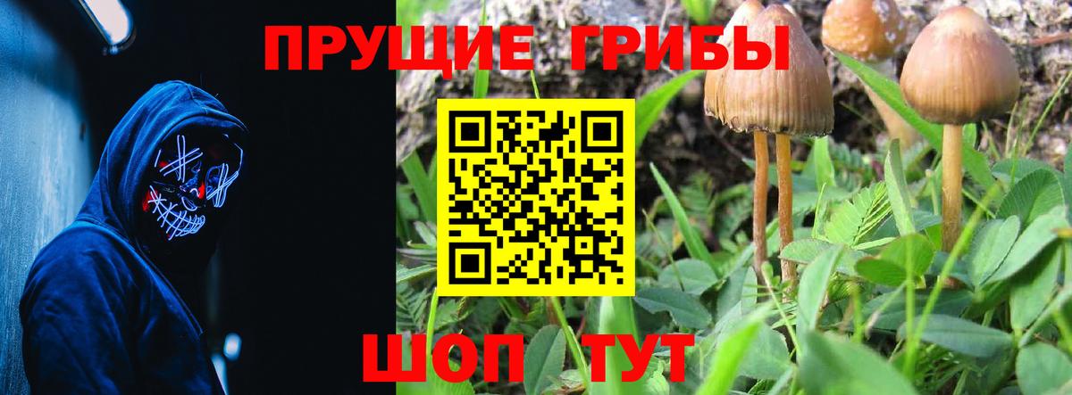 Миасс  Галлюциногенные грибы GOLDEN TEACHER  магазин    Вход с VPN  Псилоцибиновые грибы прущие грибы 